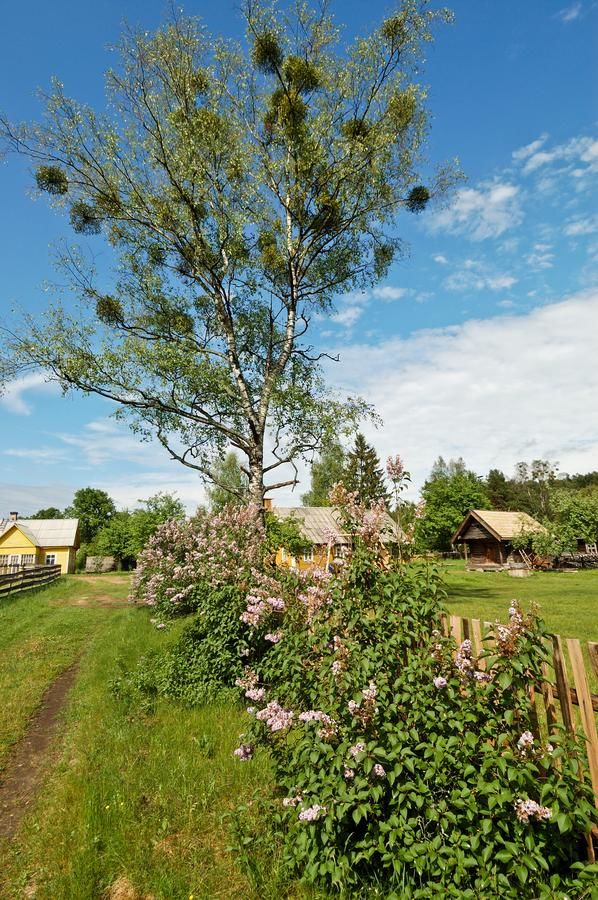 Загородные дома Country house Ziogeliai Žiogeliai-39