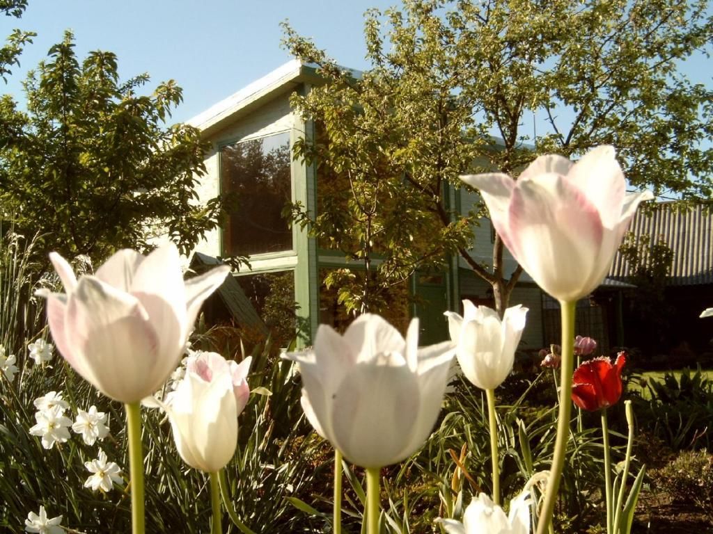 Загородные дома Country house Ziogeliai Žiogeliai